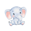 Daxiang Cracked VPN, 巨象破解版翻墙机场