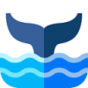 Ivoryfish Cracked VPN